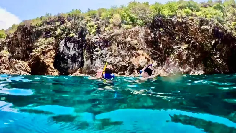 Snorkeler exploring crystal-clear waters at one of Tortola's best snorkeling beaches on a private BVI tour, British Virgin Islands
